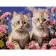Paint by numbers Strateg PREMIUM Kitties 30x40 cm (SS1198)