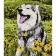 Paint by numbers Strateg PREMIUM Summer mood size 30x40 cm (SS1205)