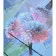 Paint by number Strateg PREMIUM Flowers in mirrors with varnish and level 30x40 cm (SS6462)