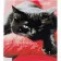 Paint by numbers Strateg PREMIUM A black cat size 30x40 cm (SS6618)