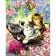 Paint by number Strateg PREMIUM Kittens with varnish size 30x40 cm (SS6677)