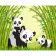 Paint by number Strateg PREMIUM Panda family with lacquer size 30x40 cm (SS6704)