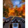 Paint by number Strateg PREMIUM On a motorcycle in autumn with varnish size 30x40 cm (SS6761)