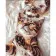 Paint by number Strateg PREMIUM Cat with a hedgehog with varnish size 30x40 cm (SS6765)