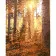 Картина за номерами Strateg ПРЕМІУМ Вечір у сосновому лісі з лаком розміром 30х40 см (SS6790)