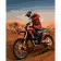 Paint by number Premium SY6120 "Extreme on a motorcycle", 40x50 cm