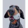 Paint by number Premium SY6127 Baseball Dog, 40x50 cm