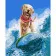 Paint by number Premium SY6173 "Fluffy surfer", 40x50 cm