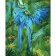 Paint by number Premium SY6246 "Bright Macaws", 40x50 cm