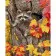 Paint by number Premium SY6291 "Raccoon in autumn", 40x50 cm