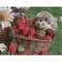 Paint by number Premium SY6441 "Hedgehog with strawberries", 40x50 cm