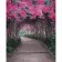 Картина за номерами Преміум Квітковий тунель 40х50 см SY6480