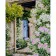 Paint by numbers Strateg PREMIUM Flowering arch near the door with varnish size 40x50 cm (SY6592)