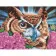 Paint by numbers Strateg PREMIUM Wise owl with varnish size 40х50 sm (SY6645)