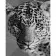 Paint by numbers Strateg PREMIUM Leopard with varnish size 40х50 sm (SY6668)