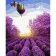 Paint by numbers Strateg PREMIUM Bullets over lavender fields with varnish size 40х50 sm (SY6732)