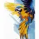 Paint by numbers Strateg PREMIUM Yellow and blue parrot with varnish size 40х50 sm (SY6757)