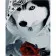 Paint by numbers Strateg PREMIUM Husky with a rose with varnish size 40х50 sm (SY6774)