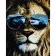 Paint by number Strateg PREMIUM Lion racer with varnish size 40x50 cm (SY6775)