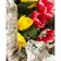 Paint by numbers Strateg PREMIUM Kitten with tulips with varnish size 40х50 sm (SY6810)