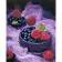 Paint by numbers Strateg PREMIUM Delicious berries with varnish size 40х50 sm (SY6825)