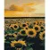 Paint by numbers Strateg PREMIUM Evening sunflowers with varnish size 40х50 sm (SY6851)