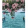 Paint by numbers Strateg PREMIUM Flowers over the ocean with varnish size 40х50 sm (SY6855)