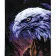 Paint by numbers Strateg PREMIUM Eagle view with varnish size 40х50 sm (SY6874)