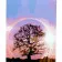 Paint by numbers Strateg PREMIUM Fantasy tree with varnish size 40х50 sm (SY6891)