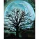 Paint by numbers Strateg PREMIUM Moon tree with varnish size 40х50 sm (SY6897)