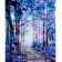 Paint by numbers Strateg PREMIUM Magic forest with varnish size 40х50 sm (SY6927)