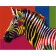 Paint by number Premium VA-0135 "Pop Art Zebra", 40x50 cm