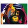 Картина по номерам Премиум Поп-арт обезьянка 40х50 см VA-0141