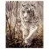 Картина по номерам Премиум Белый тигр 40х50 см VA-0238