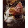 Картина за номерами Преміум Зеленоокий кіт 40х50 см VA-0241