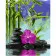 Paint by number Premium VA-0332 "Orchid in the water", 40x50 cm