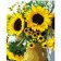 Картина  «Яскраві соняшники», 40х50 см