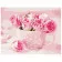 Paint by number Premium VA-0554 "Pink roses", 40x50 cm