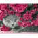 Paint by number Premium VA-0586 "Grey cat in flowers", 40x50 cm