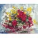 Картина «Красочные полевые цветы», 40х50 см