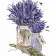 Paint by number VA-0860 "Lavender", 40x50 cm