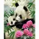 Paint by number VA-0907 "Pandas in the bamboo forest", 40x50 cm