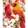 Paint by number Premium VA-0922 "Birds in flowers", 40x50 cm