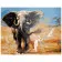 Paint by number VA-0964 "Elephant", 40x50 cm