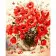 Paint by number VA-1019 "Bright poppies", 40x50 cm