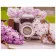 Paint by number Strateg Premium VA-1080 “Camera with lilac”, 40x50 cm