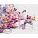 Paint by number  floral turtle Strateg with varnish size 40x50 cm (VA-1086)