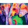 Paint by number VA-1148 "Colorful elephants", 40x50 cm