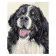 Paint by number Premium VA-1220 "Faithful dog", 40x50 cm