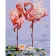Paint by number VA-1309 "A couple of flamingos", 40x50 cm